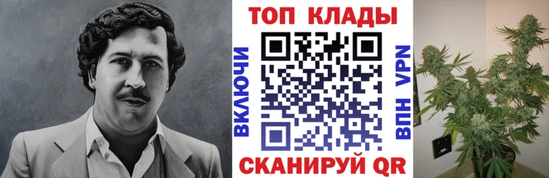 Цена Славгород Конопля  МЕГА   Гашиш 