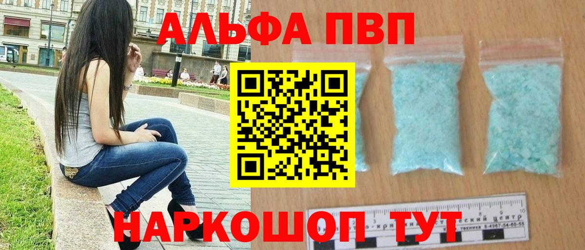 A PVP СК КРИС Славгород