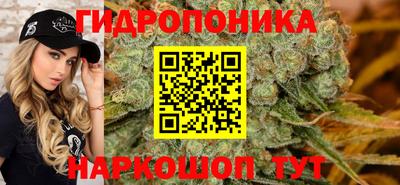 apvp Краснокаменск