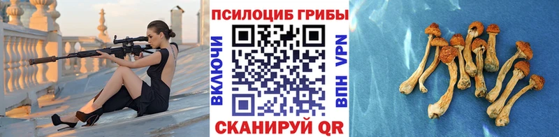 Псилоцибиновые грибы Cubensis Славгород