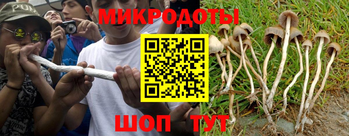 Галлюциногенные грибы ЛСД Славгород
