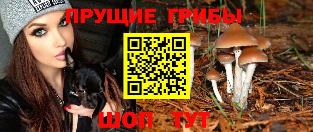 Псилоцибиновые грибы прущие грибы Славгород