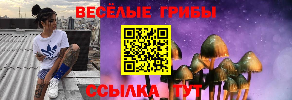 Псилоцибиновые грибы Psilocybine cubensis  Вход с VPN  Славгород 
